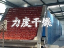 紅棗帶式干燥機(jī)